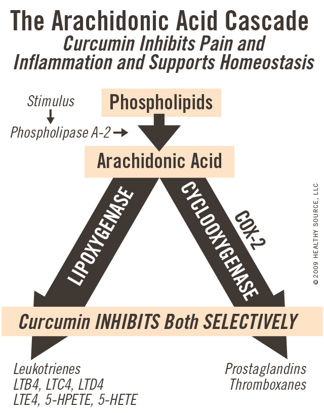 The arachidonic acid cascade: Curcumin inhibits pain and inflammation and supports homeostasis