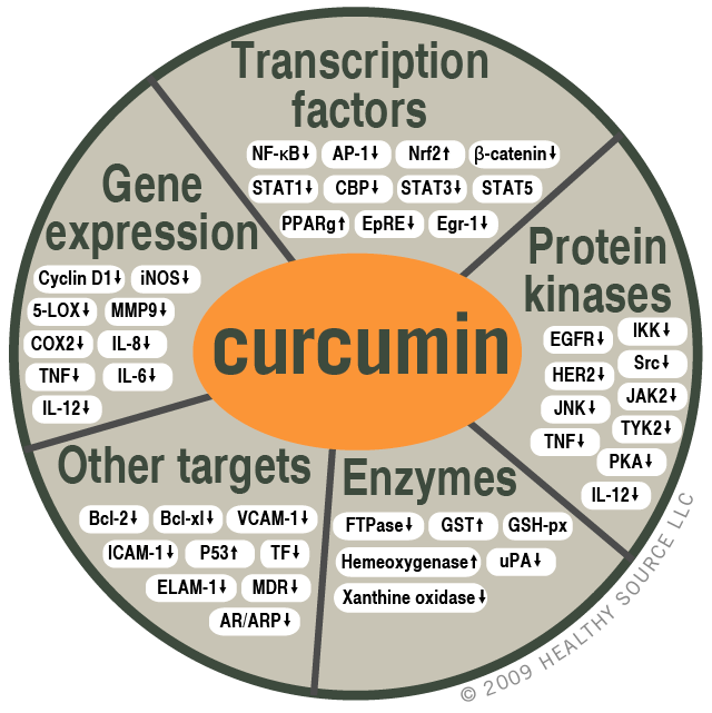 Chart of molecular targets of curcumin